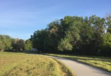 Learn to See and Interpret Light, Before Attempting to Paint It Advice for painting landscapes - OutdoorPainter.com