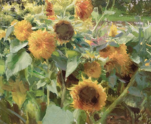 Sunflower painting - Daniel Keys - OutdoorPainter.com