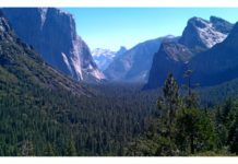 Chasing California’s Light: A Painting Adventure Painting in Yosemite Valley - OutdoorPainter.com