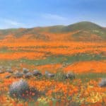 Painting California poppies - OutdoorPainter.com