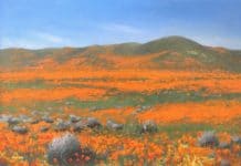 Painting California poppies - OutdoorPainter.com