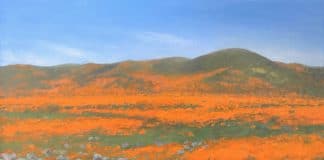 Painting California poppies - OutdoorPainter.com