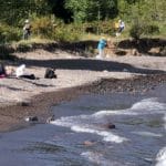 2019 Plein Air Grand Marais Winners Sugarloaf Cove PaintOut
