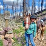 Plein Air Painting — “MacGyver” Style Lori McNee
