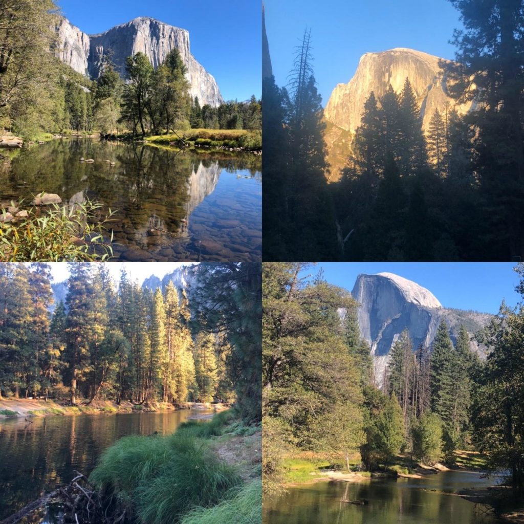 Yosemite landscape painting