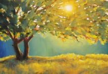 "Illumination" by Jed Dorsey, author of "The Confident Artist"