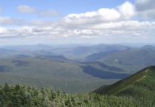 New Fall Color Location Revealed Plein air painting trip - OutdoorPainter.com