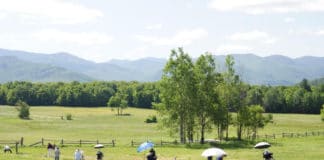Artist retreat - OutdoorPainter.com