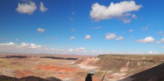 Plein air painting - Petrified Forest - OutdoorPainter.com