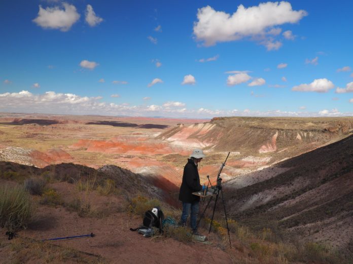 Plein air painting - Petrified Forest - OutdoorPainter.com