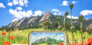 Painting miniature landscapes - OutdoorPainter.com