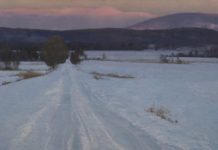 PleinAir Salon December/January 2020 Winners Revealed Art competitions - PleinAir Salon