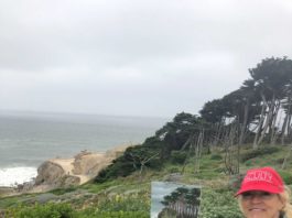 7 Things to Consider When Painting a Landscape Outdoors Plein air for beginners - Carrie Curran - OutdoorPainter.com