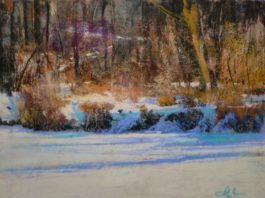 Tom Christopher, “Iowa River Bank,” 2019, pastel, 24 x 30 in., Available from artist, Studio from plein air study