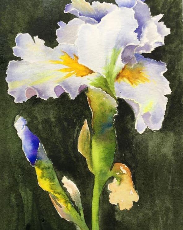 Art prompts - painting flowers - OutdoorPainter.com