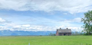 Plein Air Glacier: New Format for 2020