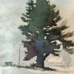 Painting trees with watercolor - OutdoorPainter.com