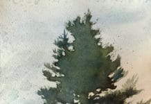 Painting Trees – A Symbol of Strength Painting trees with watercolor - OutdoorPainter.com