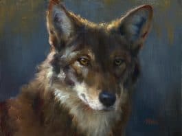 Art inspiration - how to paint animals