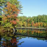 Painting Vacations - Fall Color Week 2020