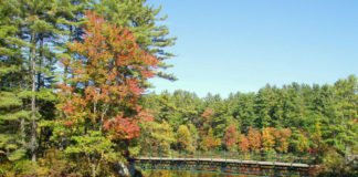 Painting Vacations - Fall Color Week 2020