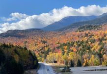 Painting Events - A scene from the Publisher's Invitational, Fall Color Week