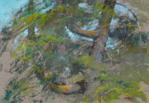 Kelly Kane’s Pick of the Week: Pine Tree Pastel landscape paintings