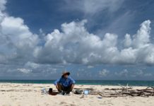 Connecting with Nature via Art in Key West Artist Residencies - Key West Plein Air