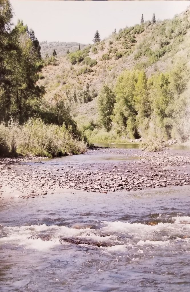 Photo of a creek