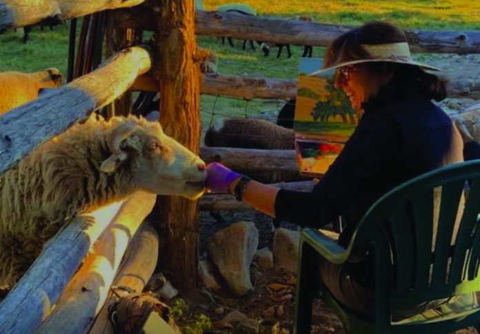 Artist Susan Hediger Matteson plein air painting on a farm with sheep in southwest Colorado.