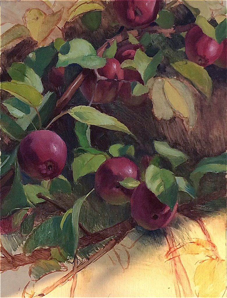 Preliminary stages of Heartfelt Farm Apples painting