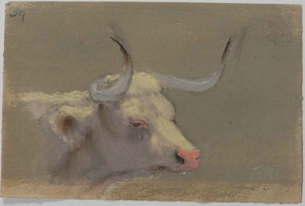 Texas steer artwork by Frank Reaugh