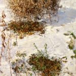 Painting of a snowy ground