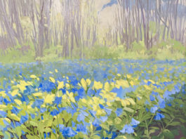 Oil painting of Virginia bluebell flowers and two crows hiding in the foreground