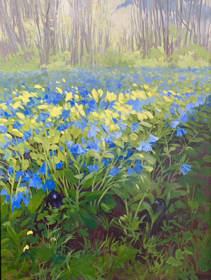 Oil painting of Virginia bluebell flowers and two crows hiding in the foreground