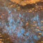 Plein air painting of leaves in water