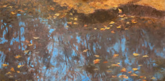 Plein air painting of leaves in water