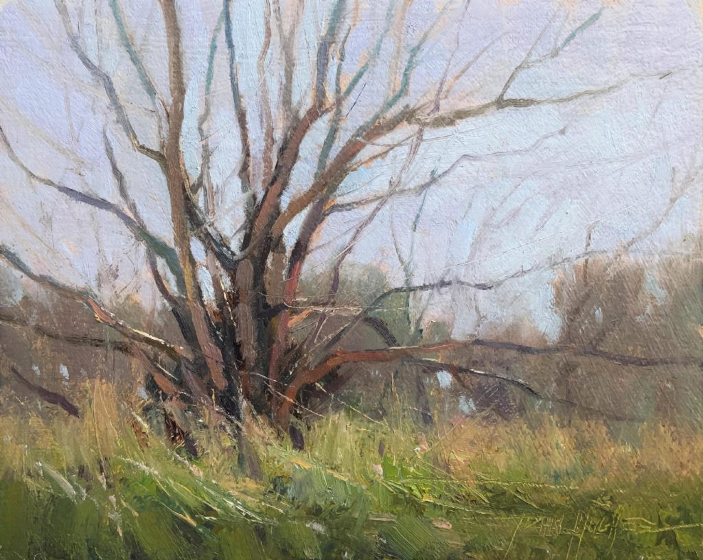 “Spring Willow” Field Study 8 x 10 oil