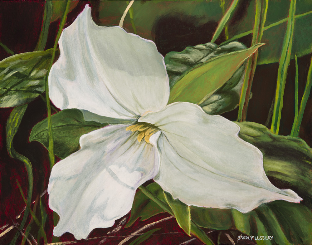 Oil painting of large white flower