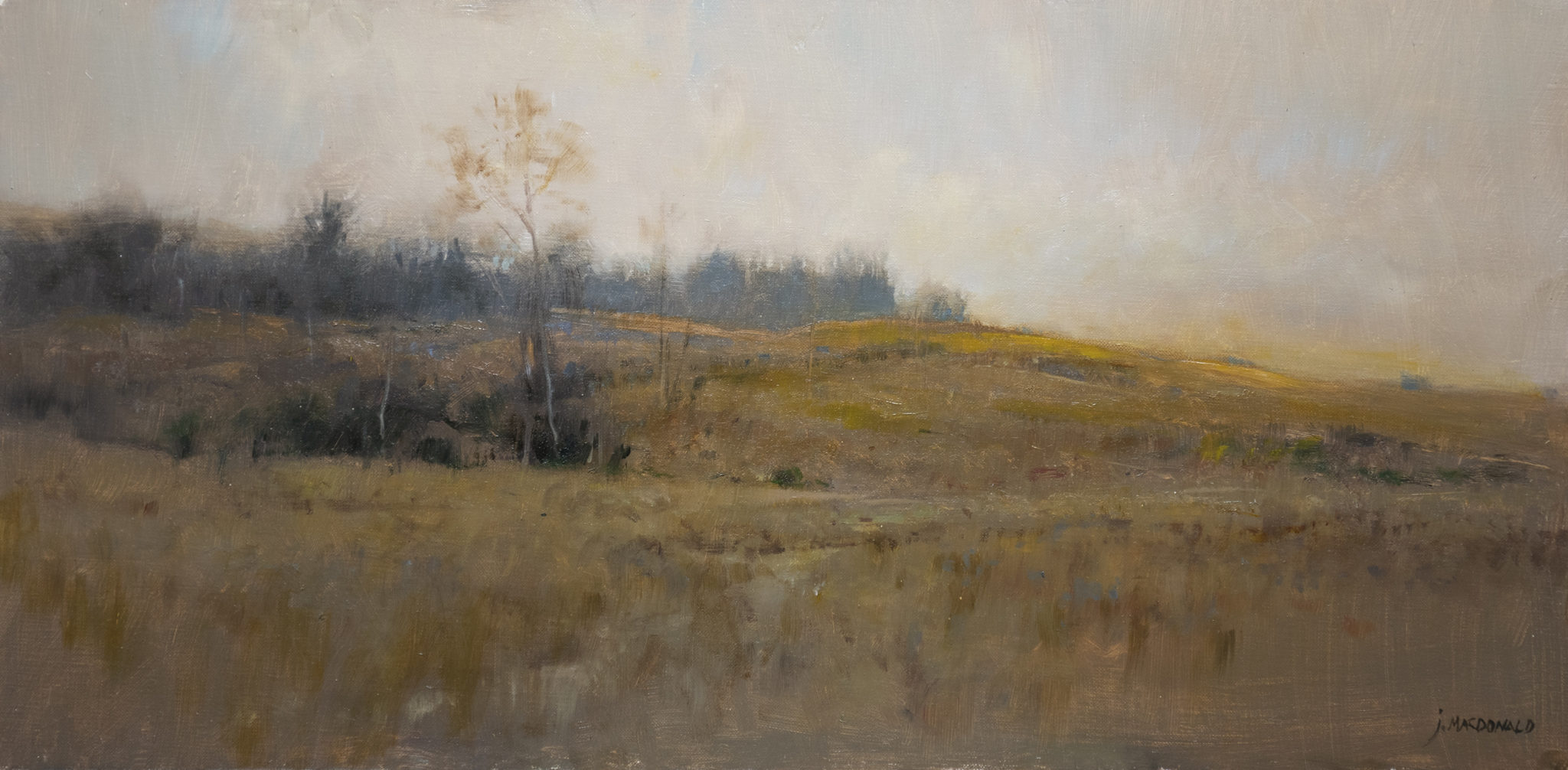 How to paint landscapes - John MacDonald, 