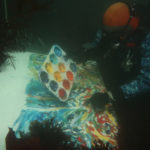 Ted Heublein painting underwater