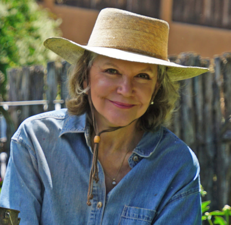 Joe Anna On Painting the New Mexico Landscape OutdoorPainter