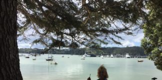 Plein air painting in New Zealand (Opua); Photo credit: Barrett Edwards