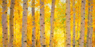 How to paint landscapes
