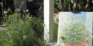 Painting flowers outdoors