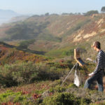 Plein air painting - Hsin-Yao Tseng artist