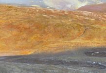 On the Composition of “Beauty Mark” PleinAir Salon - Seth Tummins, "Beauty Mark," oil, 14 x 22 in.