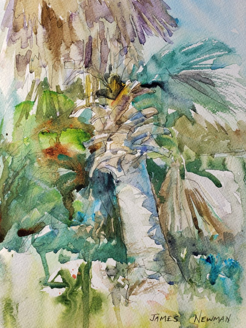 James Newman, "Palm Trunk in the Sun," watercolor, 12 x 9 in.