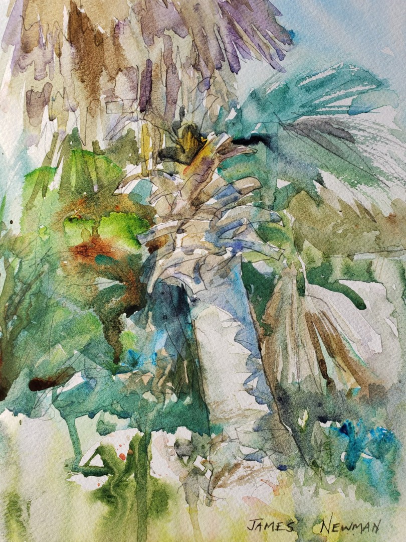 James Newman, "Palm Trunk in the Sun," watercolor, 12 x 9 in.