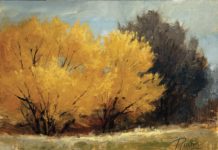 Peggy Immel, "Spring Willows," 2019, oil, 9x 12 in., Collection the artist, Plein air